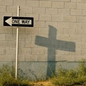 Meet your Posher, Terri